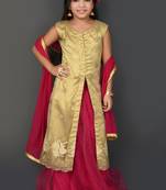 White Embroidered Net Lehenga Choli Dupatta