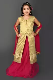 White Embroidered Net Lehenga Choli Dupatta