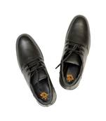 Black Brown Tan Mens Shoe