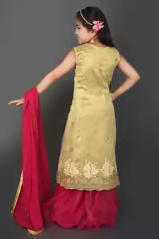 White Embroidered Net Lehenga Choli Dupatta