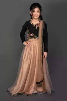 Green Embroidered Chanderi Silk Lehenga Choli Dupatta
