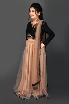 Green Embroidered Chanderi Silk Lehenga Choli Dupatta