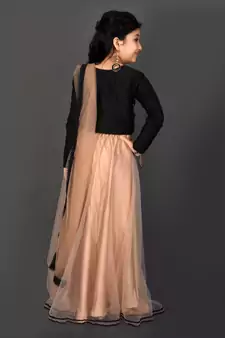 Green Embroidered Chanderi Silk Lehenga Choli Dupatta