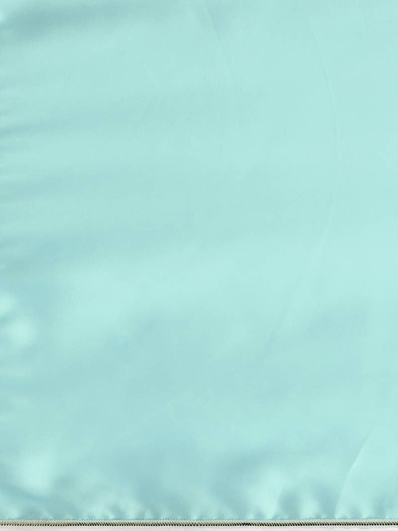 Inddus Powder Blue  Satin Georgette Lace Bordered Saree With Embroidered Blouse