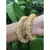 Gold pearl bangles and bracelets