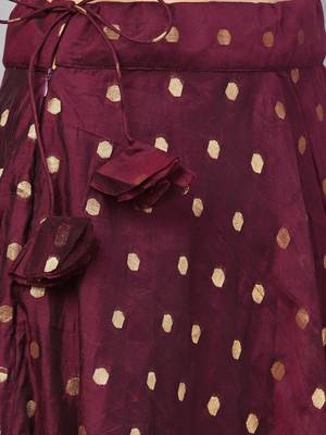 Wine Chanderi Cotton Woven Flared Skirt 5