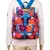 Florid Pink Multicolor Canvas Backpack