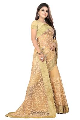 Chiku embroidered net saree with blouse 3