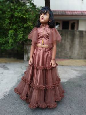 Brown Pannle Work Lahenga Choli 1