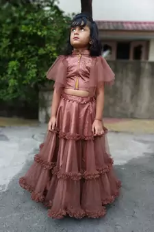 Brown Pannle Work Lahenga Choli