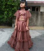 Brown Pannle Work Lahenga Choli