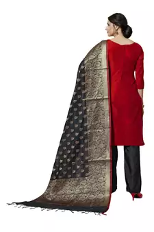 Red Woven Art Silk Salwar