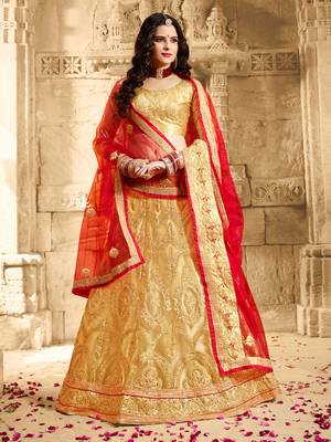 Beige Embroidered Net Semi Stitched Lehenga 1
