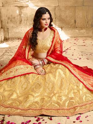 Beige Embroidered Net Semi Stitched Lehenga 2