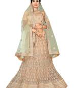Peach Embroidered Net Semi Stitched Lehenga
