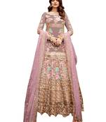 Multicolor Embroidered Net Salwar