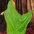 Green Jamdani Saree With All Over Zari Work