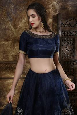Blue Embroidered Organza Semi Stitched Lehenga Choli 2