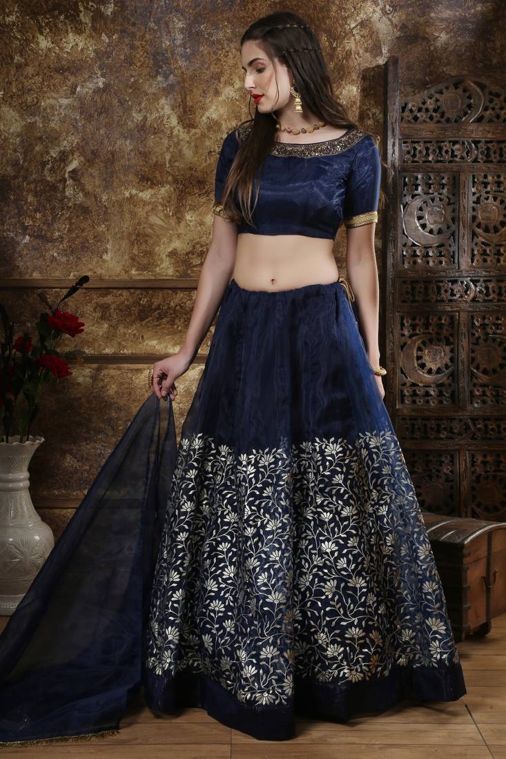 Blue Embroidered Organza Semi Stitched Lehenga Choli