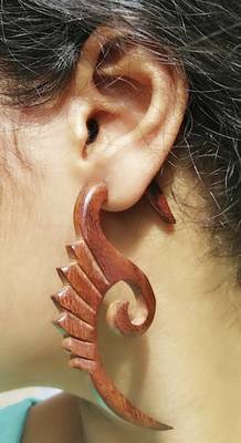 Brown earrings 1
