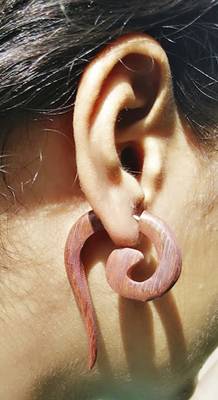 Brown earrings 1