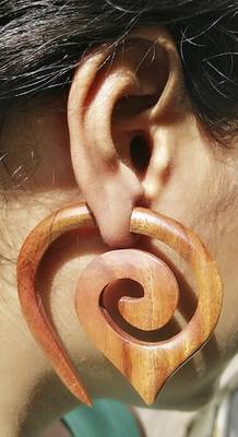 Brown earrings 1