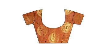 Multicolor woven cotton silk saree with blouse 4