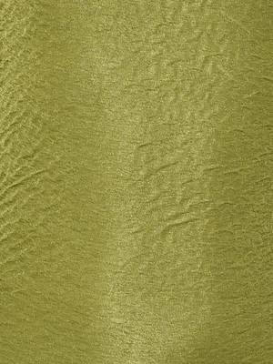Green Plain Nylon Kids-Tops 4