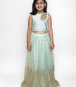 Green Embroidered Net  Stitched Kids Lehenga Choli