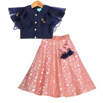 Pink & Blue Banarasi Chanderi Silk Lehenga with Peter Pan Collar Crop Top 1