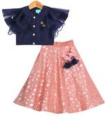 Pink & Blue Banarasi Chanderi Silk Lehenga with Peter Pan Collar Crop Top