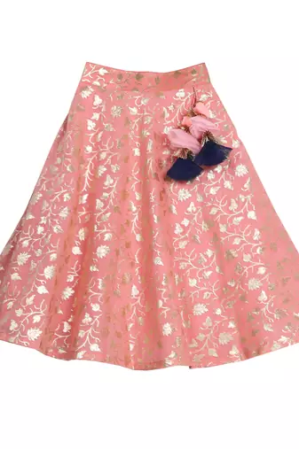 Pink & Blue Banarasi Chanderi Silk Lehenga with Peter Pan Collar Crop Top
