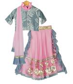 Grey & Pink Chanderi Lehenga with Printed Top
