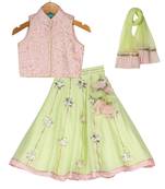 Pink & Light Green Chanderi Silk Lehenga with thread sequins embroidered Top