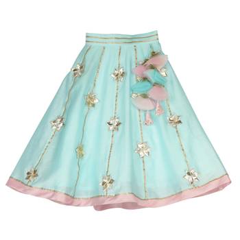 Pink & Light Blue Chanderi Silk Lehenga with thread sequins embroidered Top 3