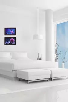 Set of 2 Floral Satin Matt Texture UV Art Painting