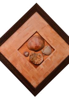 Set of Shells Satin Matt Texture UV Art Painting