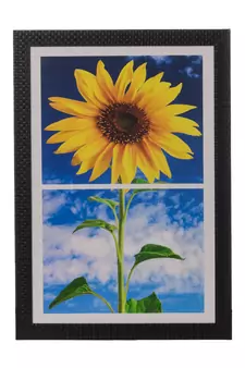 Sunflower Satin Matt Texture UV Art Painting