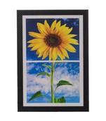 Sunflower Satin Matt Texture UV Art Painting