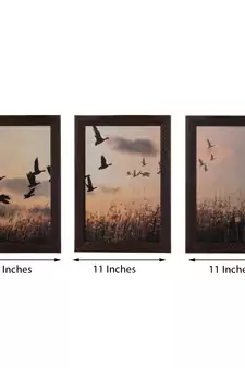 Set of 3 Flying Birds Satin Matt Texture UV Art Painting