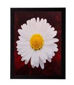 White Sunflower Matt Textured UV Art Painting