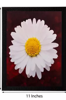 White Sunflower Matt Textured UV Art Painting