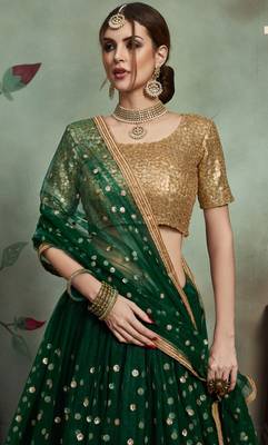 Green Net Embroidered Lehenga Choli 2