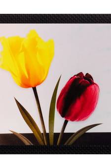 Floral Matt Textured UV Art Painting