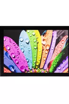 Colorful leaves Matt Textured UV Art Painting