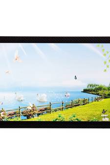 Beautiful Swan and Plants Matt Textured UV Art Painting