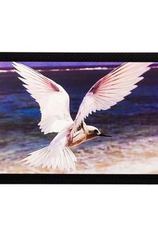 Flying Bird Matt Textured UV Art Painting