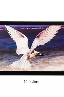 Flying Bird Matt Textured UV Art Painting