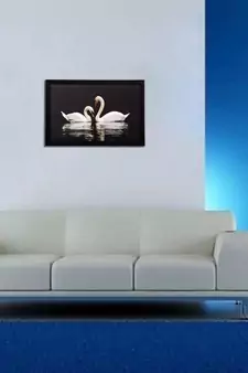 Lovely Ducks Matt Textured UV Art Painting