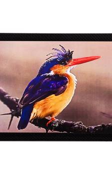 Beautiful Bird Matt Textured UV Art Painting